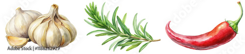 Fresh garlic bulbs, aromatic rosemary sprigs, vibrant red chili peppers, culinary ingredients, natural food illustration.