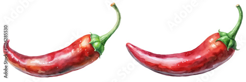 Vibrant watercolor chili peppers, fresh red color, organic food illustration, culinary art, kitchen decor.