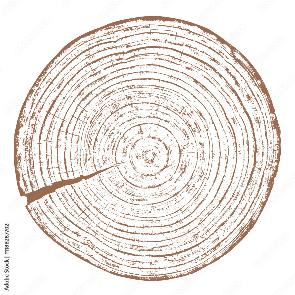 Tree wood texture. Wooden old trunk. Cut timber log. Abstract rings nature pattern. Brown circle stump. Wood cross section.