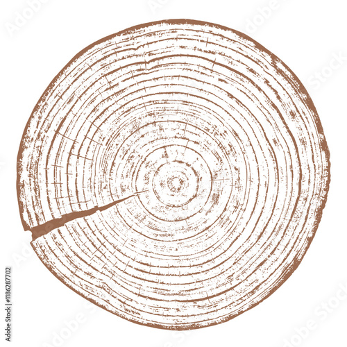 Tree wood texture. Wooden old trunk. Cut timber log. Abstract rings nature pattern. Brown circle stump. Wood cross section.