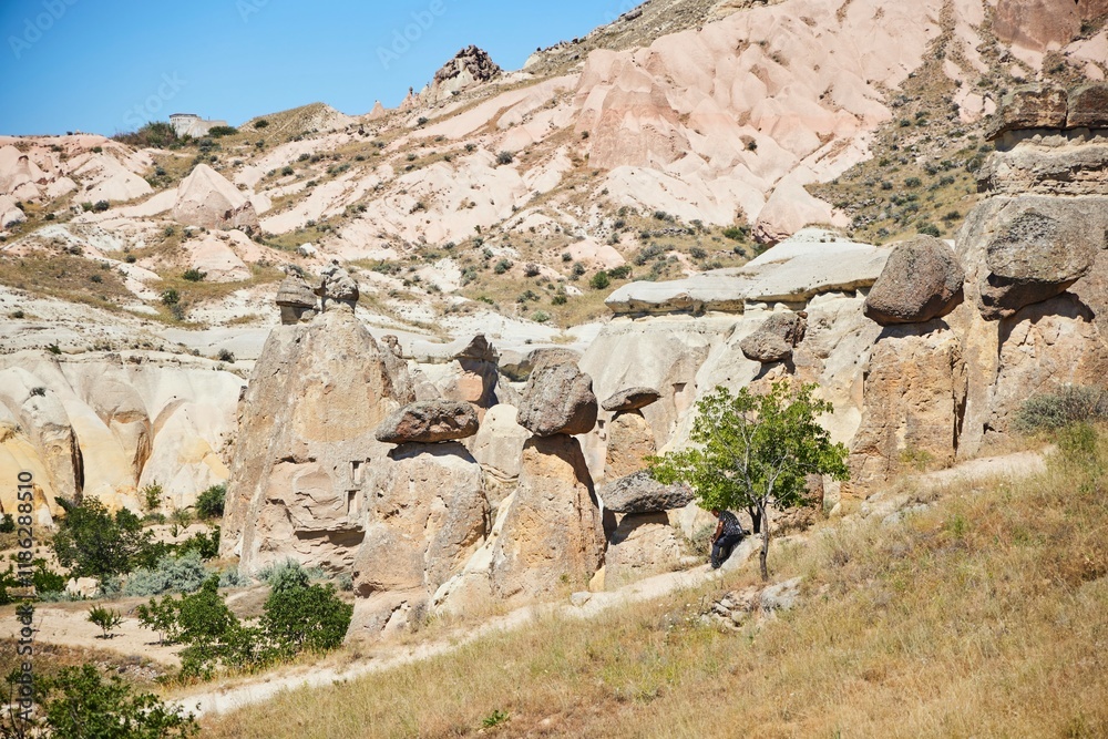 Fototapeta premium The Chavushin Valley. The tuff mountains, traditional for Cappadocia, are of an interesting shape