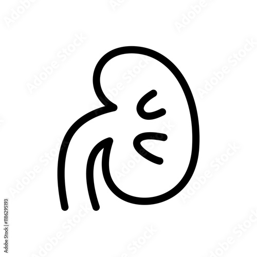 Show renal icon Thin vector set