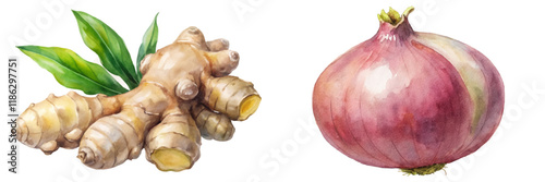 Fresh ginger root, vibrant onion, watercolor illustration, botanical art, culinary ingredients, organic produce, healthy cooking.