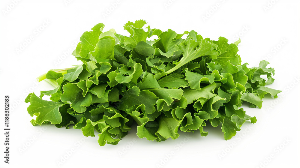 Salad isolated on white background Salad isolated on white background