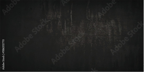 Monochrome Black Wall Setting.A Dark, Serene Black Wall that Offers an Unobtrusive Yet Powerful Backdrop, Perfect for Highlighting Art, Photography, and Contemporary Themes.