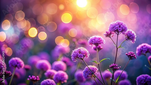 Purple Flower Bokeh Wallpaper Background with Copy Space - High Resolution Stock Photo