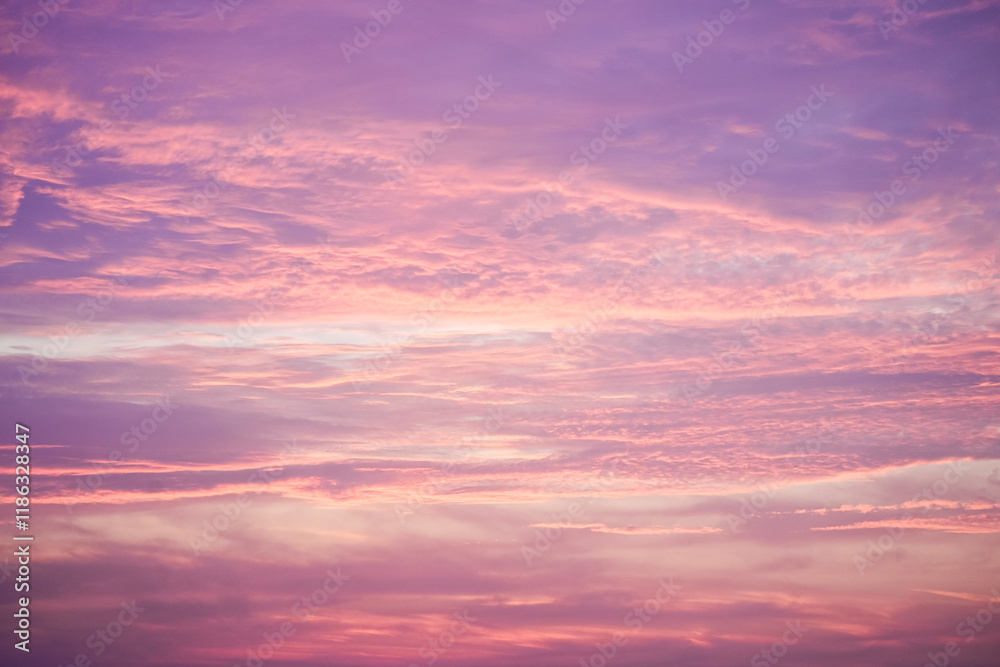 Sunset in the sky in pastel colors. Purple and pink sky with clouds in the evening. Nature background.
Sunset in the sky in pastel colors. Purple and pink sky with clouds in the evening. Nature background.
