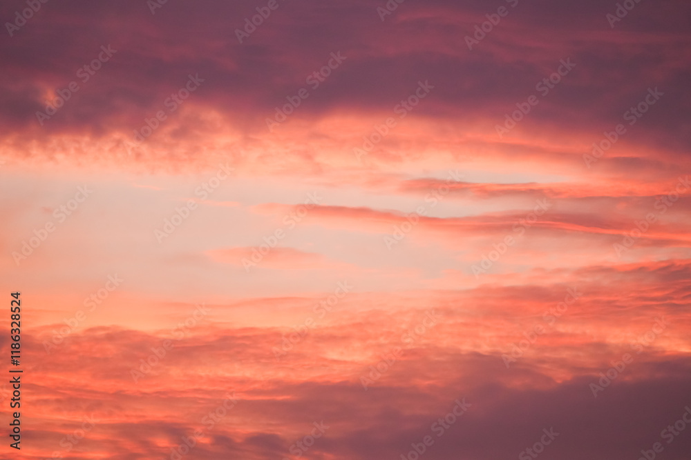 Sunset in the sky in pastel colors. Purple and pink sky with clouds in the evening. Nature background.
Sunset in the sky in pastel colors. Purple and pink sky with clouds in the evening. Nature background.