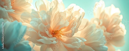 Floral art composition, soft colors, abstract style, featuring large blooming flowers in beige, white, and muted turquoise background, capturing a serene and dreamy