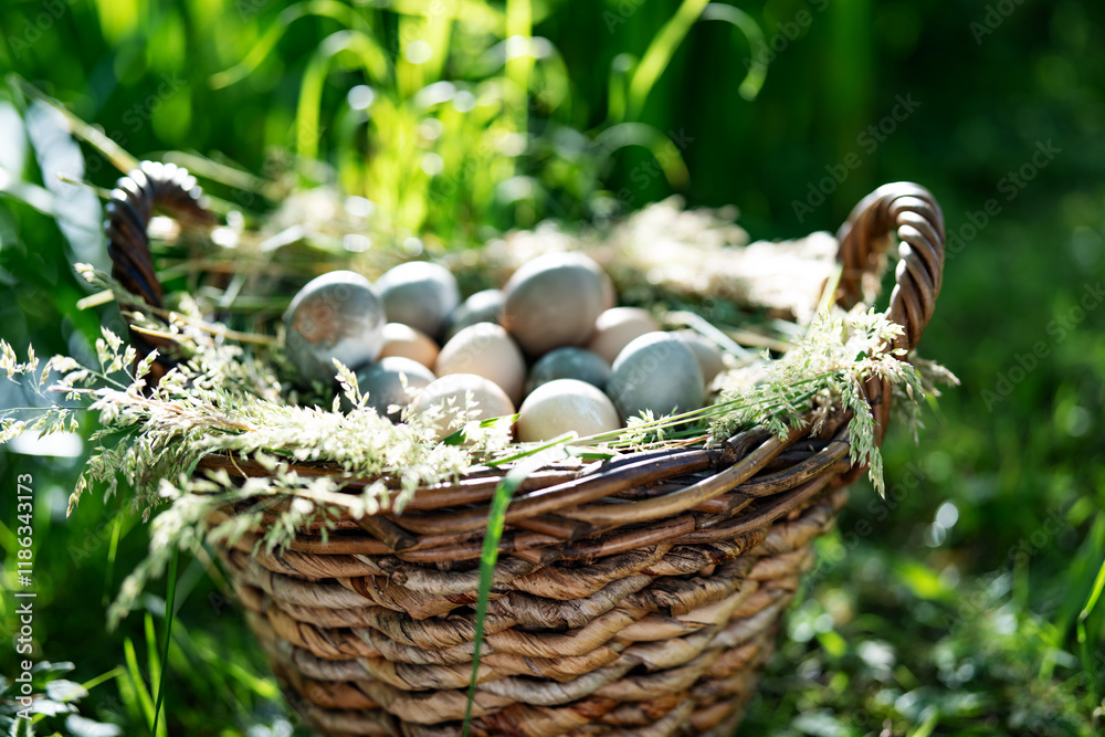 Wicker basket filled with many colored easter eggs. Sunny day in green landscape. Easter still life. Wicker basket filled with many colored easter eggs. Sunny day in green landscape. Easter still life.