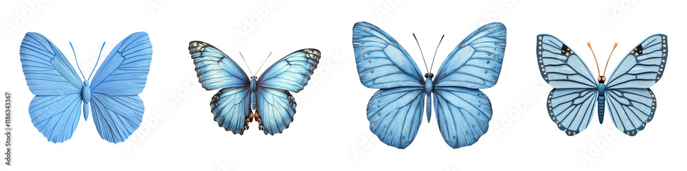 Obraz premium Stunning blue butterflies with elegant wings fluttering gracefully through a lush colorful natural environment A vibrant detailed display of the beauty and delicacy of these amazing insects