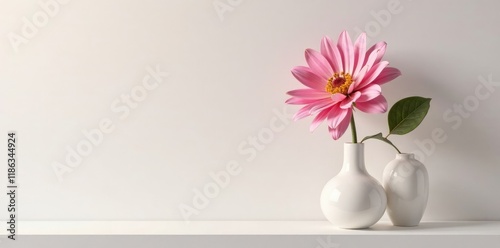 A single large flower in a vase sits on a soft white shelf, single flower, vases, simplicity