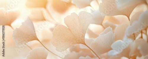 Ginkgo biloba leaves, soft pastel tones, nature background, floral design, beige and cream colors, ideal for wellness and tranquility themes Delicate and ethereal composition