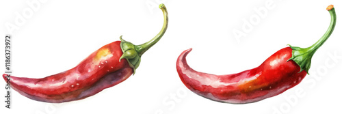 Vibrant red chili peppers, watercolor illustration, fresh produce, culinary art, natural food styling.