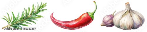 Fresh herbs illustration, vibrant chili pepper, garlic cloves, watercolor style, culinary art, food decoration.