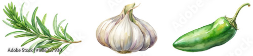 Fresh herbs illustration, watercolor style, garlic bulb, jalapeno pepper, culinary ingredients, vibrant colors.
