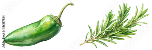 Fresh jalapeno pepper, vibrant green color, aromatic rosemary sprig, watercolor style, culinary herbs, food illustration.