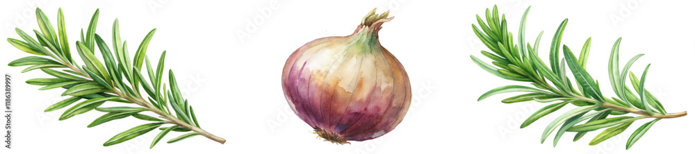 Fototapeta premium Fresh rosemary sprigs, vibrant onion illustration, botanical art style, culinary use, natural ingredients, food decoration.
