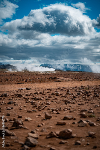 landscape in the desert