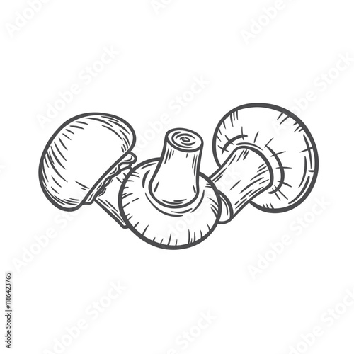 Engraving with the image of champignons