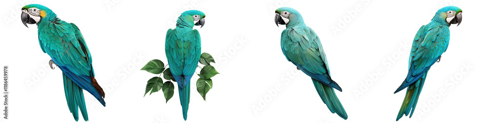 Obraz premium Vibrant green parrot with striking feathers perched on a lush leafy branch in a tropical rainforest setting The bird s captivating colors and natural habitat create a stunning