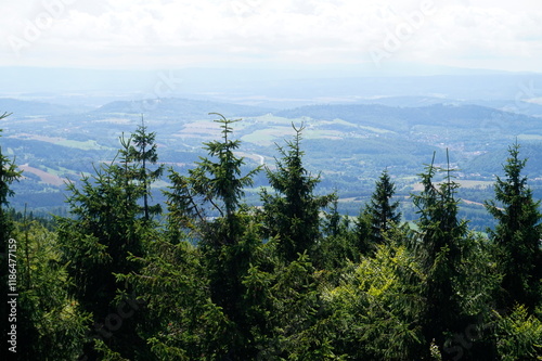 Fototapeta Naklejka Na Ścianę i Meble -  View from Kalenica Mountain - Owl Mountains, Poland