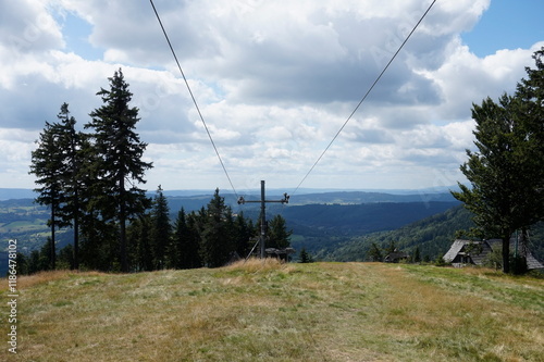 Fototapeta Naklejka Na Ścianę i Meble -  Meadow in Owl Mountains, Poland