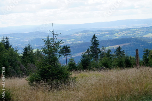 Fototapeta Naklejka Na Ścianę i Meble -  Meadow in Owl Mountains, Poland