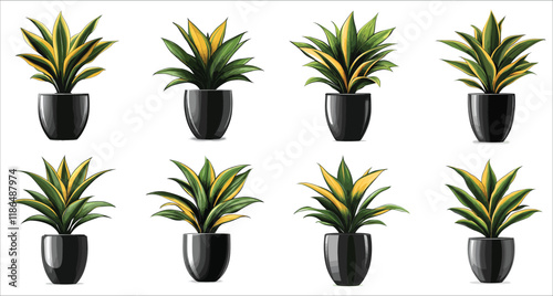 Set of tropical houseplant silhouettes, Abstract indoor plant silhouettes icons, Sansevieria plant in vase black silhouettes vector, Stylized sansevieria houseplant silhouette vector art