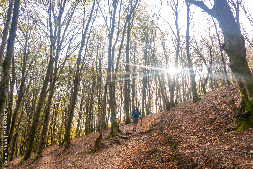 Fototapeta premium Hiker walking up a steep trail in the aiako harria natural park