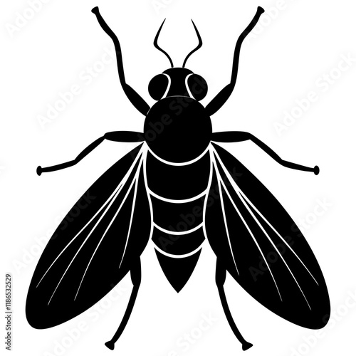 illustration of a fly