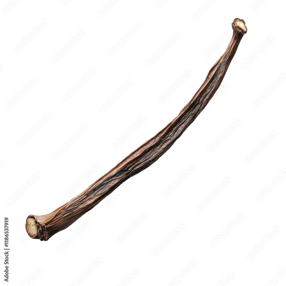 Obraz premium Isolated Vanilla Bean on Clean transparent background for Culinary and Photographic Use, Perfect for Recipes
