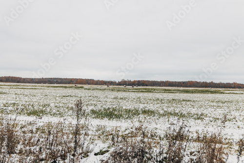 snowy hay bales with fog near farm photo