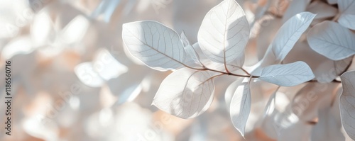 Texture leaves closeup background plant abstract autumn white foliage nature fall