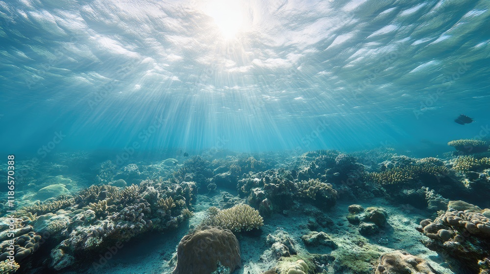 Fototapeta premium Underwater scene of vibrant coral reef with sunlight illuminating the ocean floor and mixed species of clownfish swimming among the corals