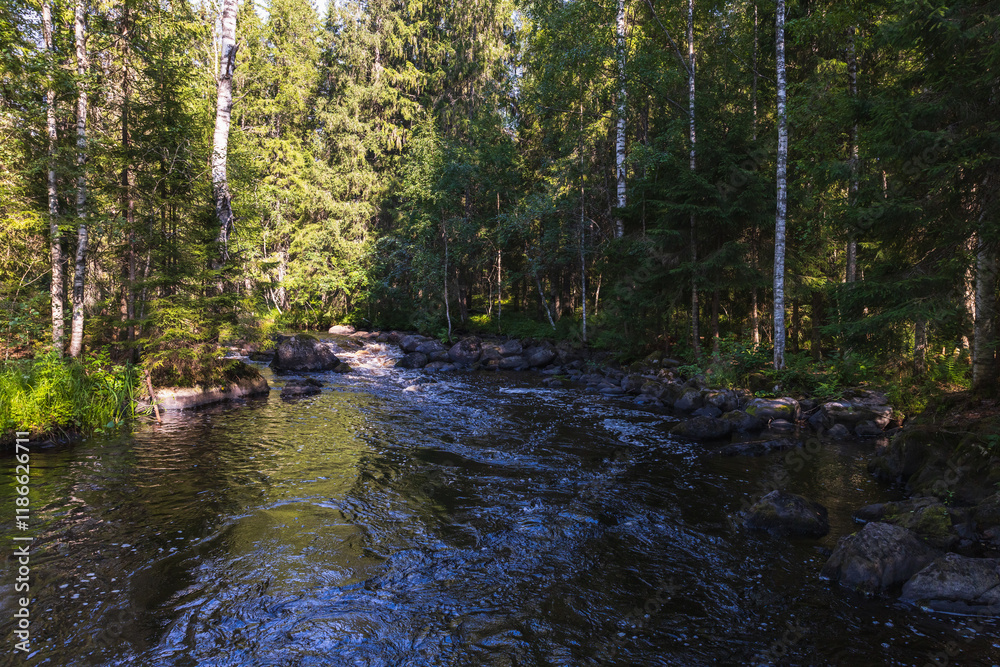 Karelian landscape with a river in the forest on a sunny day. Ruskeala Karelian landscape with a river in the forest on a sunny day. Ruskeala