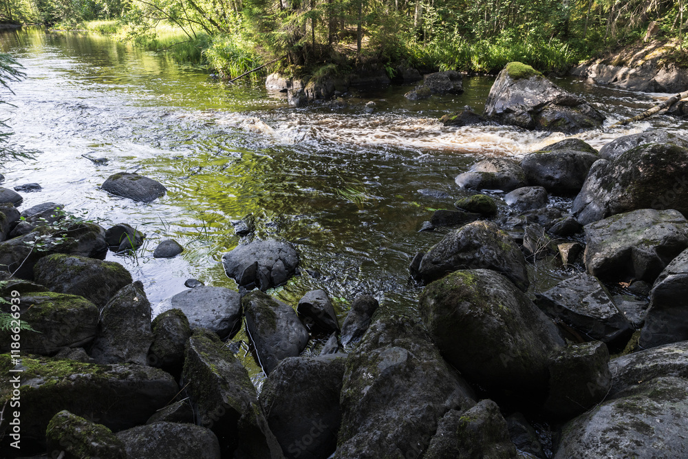 Karelian landscape with wet black rocks at the river coast Karelian landscape with wet black rocks at the river coast