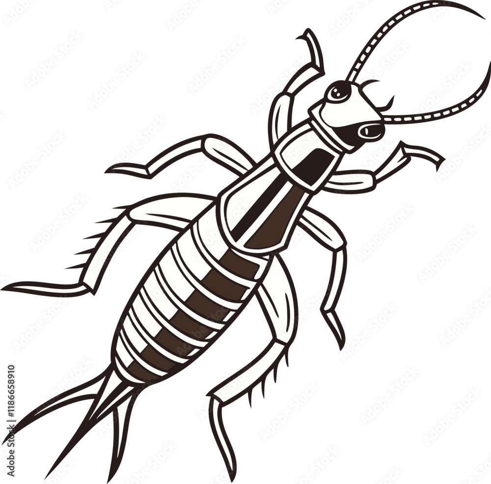 Vector Intricate Earwig Illustration Vector Intricate Earwig Illustration