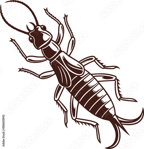 Vector Intricate Earwig Illustration