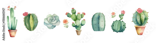 Watercolor vector set of cactus and succulent. Plant illustration.