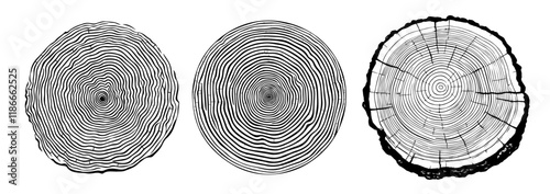 detailed tree rings collection in black and white illustration