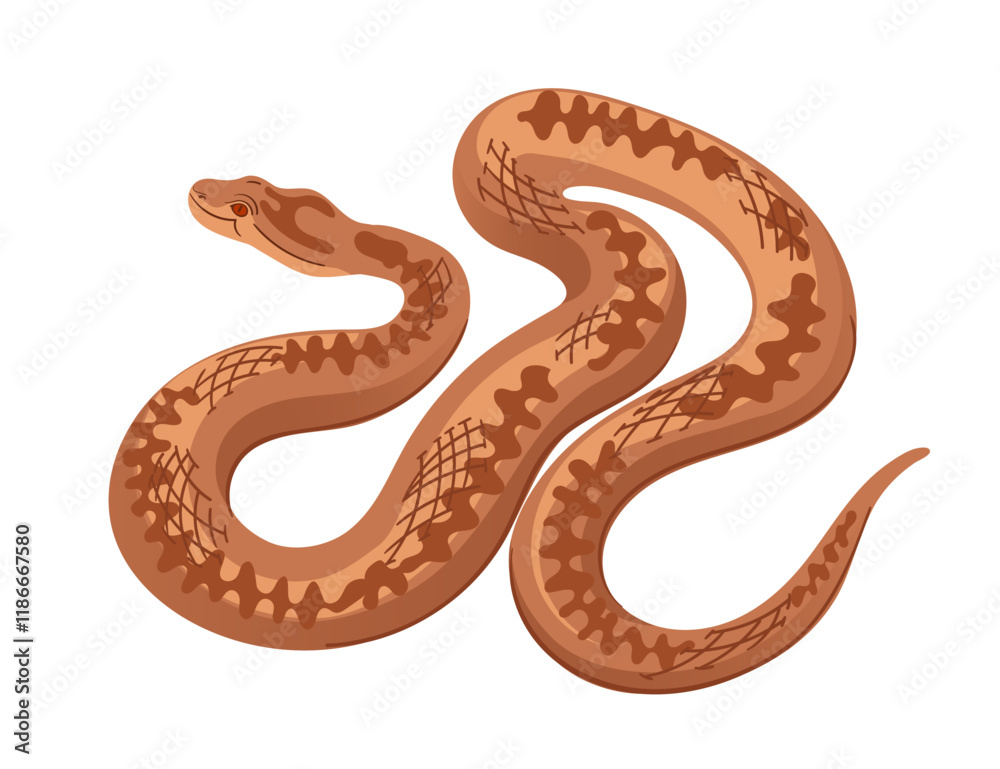 Snake with a zigzag pattern in a slithering pose. Simple cartoon animal design. Ideal for reptiles or desert wildlife. Vector illustration isolated on white background Snake with a zigzag pattern in a slithering pose. Simple cartoon animal design. Ideal for reptiles or desert wildlife. Vector illustration isolated on white background
