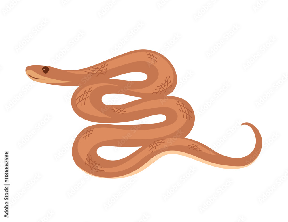 Coiled snake with smooth curves and simple patterns. Simple cartoon animal design. Good for reptile or nature illustrations. Vector illustration isolated on white background Coiled snake with smooth curves and simple patterns. Simple cartoon animal design. Good for reptile or nature illustrations. Vector illustration isolated on white background