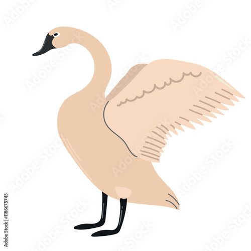 Trumpeter swan icon clipart avatar logotype isolated illustration