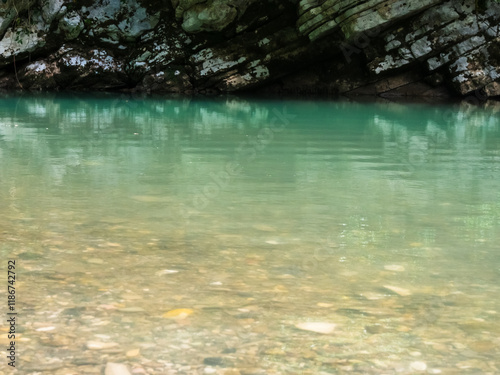 The river, with its rapid flow and majestic cliffs, creates a breathtaking landscape, reflecting the strength and beauty of the wild nature