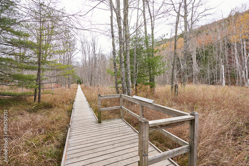 Canvas Print Located in the Sieur de Monts area of Acadia National Park, this boardwalk traverses a marshy wetland that is sparsely wooded