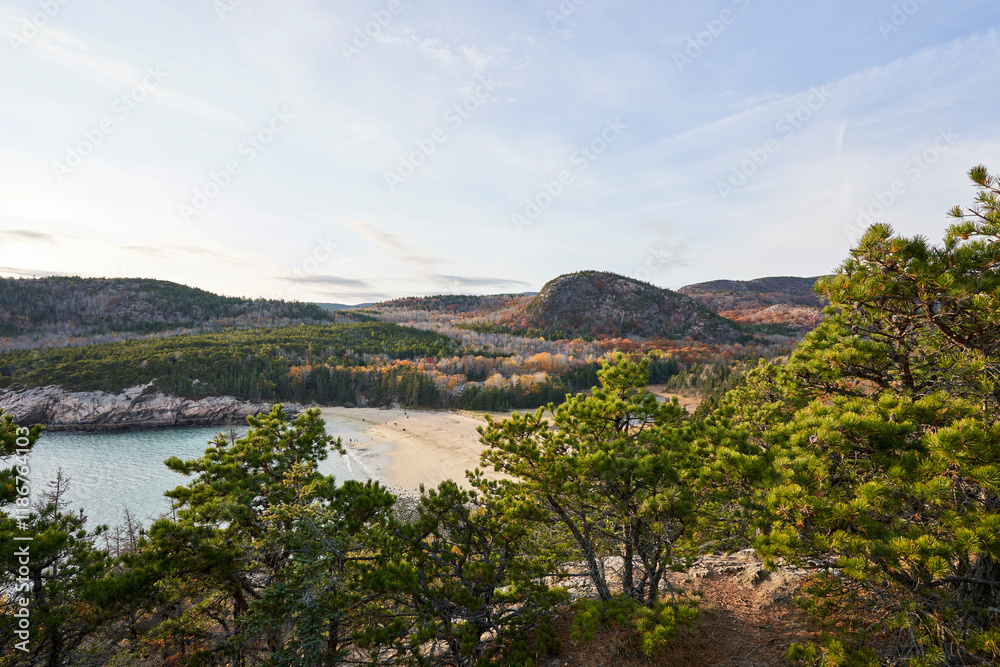 An elevated view on a beautiful autumn day, looking down on Sand beach and the nearby Beehive mountain. It is near the end of fall, and many of the leaves are still on the trees.