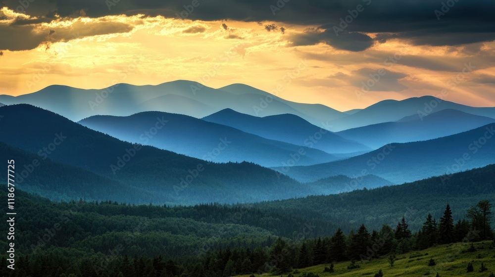 Obraz premium Majestic sunset over layered blue mountains and green forest.