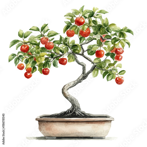 A watercolor drawing of a Tamarillo Bonsai, isolated on a white background. Tamarillo Bonsai vector.
