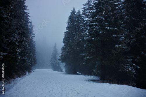 Fototapeta Naklejka Na Ścianę i Meble -  Droga na Morskie Oko - pora roku zima